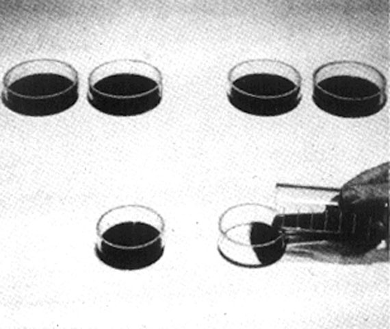 Slide56