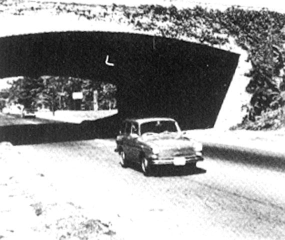 Slide78